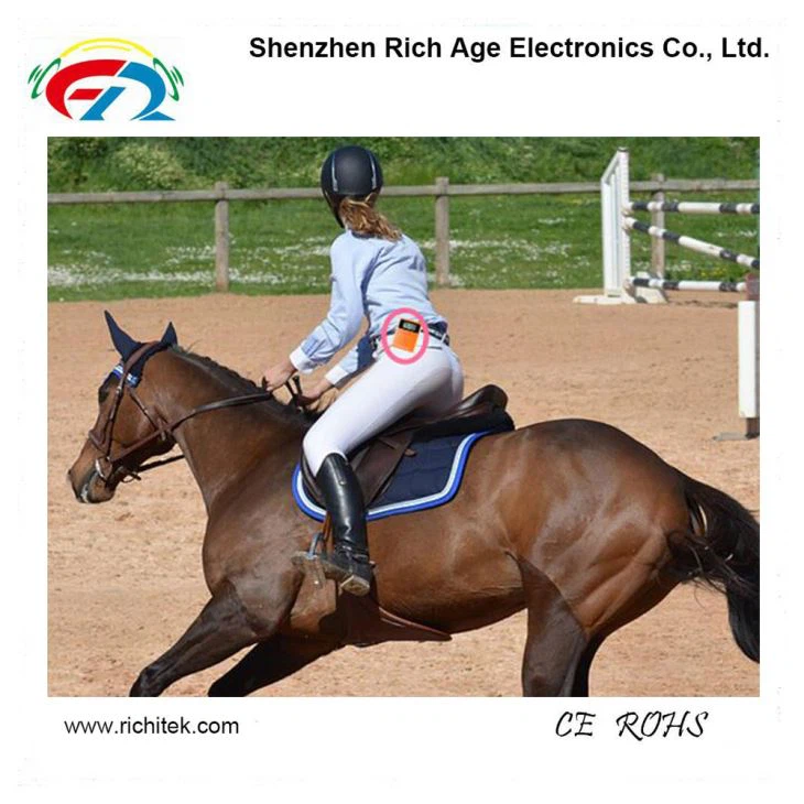 Horse Riding Teaching With Wireless Sound Transmission System Simsiz səs ötürmə sistemi ilə at sürmə tədrisi(图1)