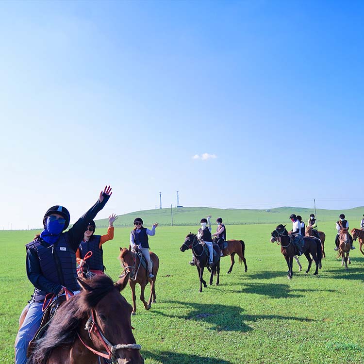 At minmə təlimi Case